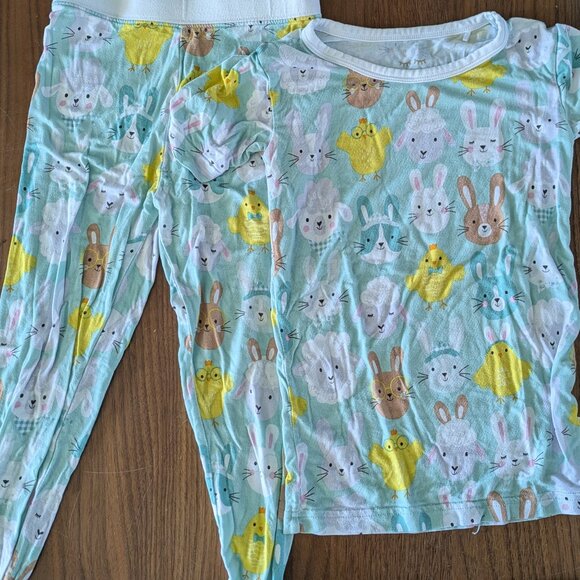 Little Sleepies Spring 2 Piece Jammie set 3T - Picture 1 of 1